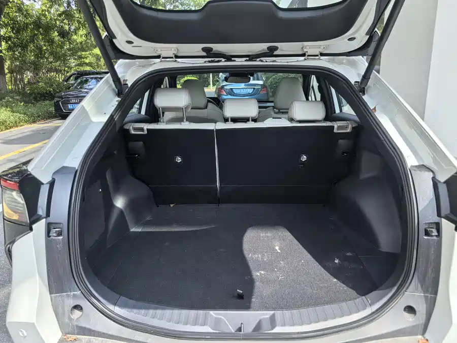 Toyota Bozhi - фото 9